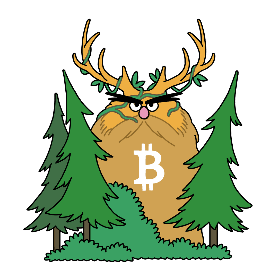 bitcoin forest