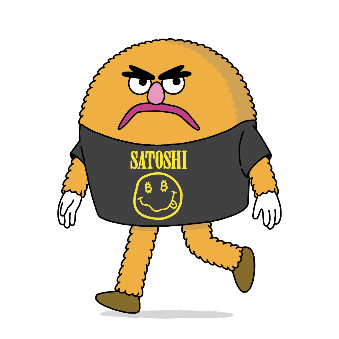 bitcoin satoshi