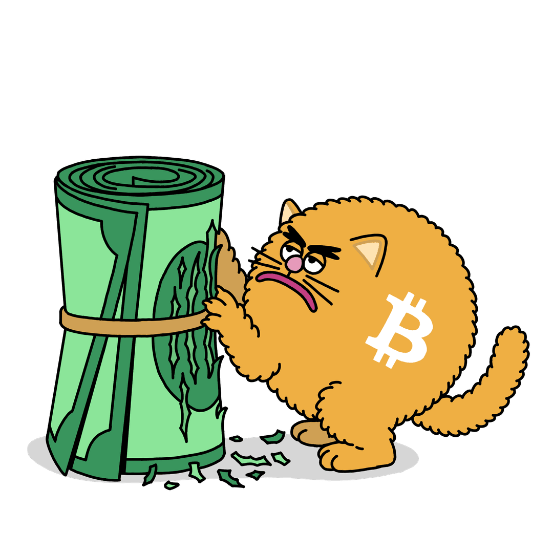 cat two